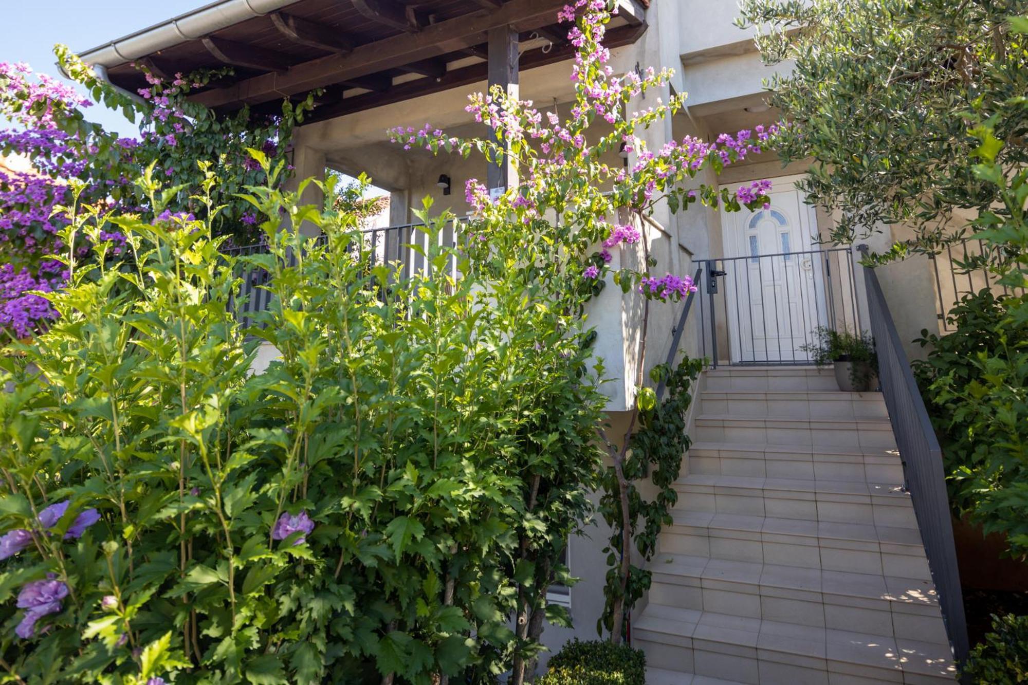 Lumaja Luxury Apartman Biograd Na Moru Luaran gambar